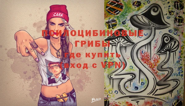 гашик Липки