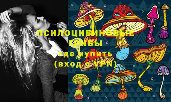 ПСИЛОЦИБИНОВЫЕ ГРИБЫ Лихославль