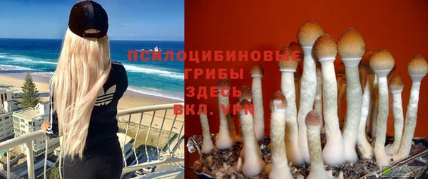 mix Лиски