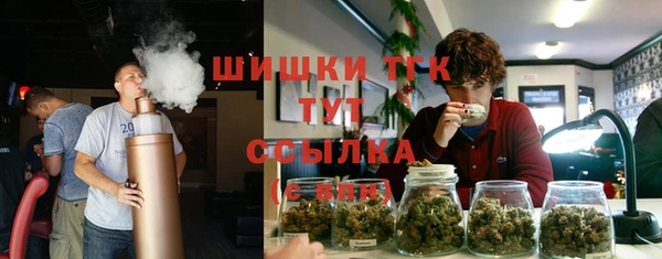 ПСИЛОЦИБИНОВЫЕ ГРИБЫ Лихославль